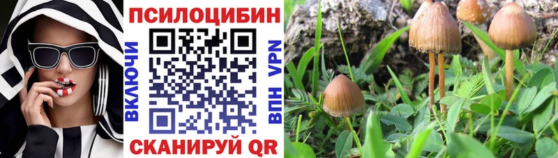 как найти наркотики  Городовиковск  Галлюциногенные грибы MAGIC MUSHROOMS 