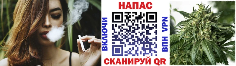 где купить наркоту  Городовиковск  Конопля Bruce Banner 